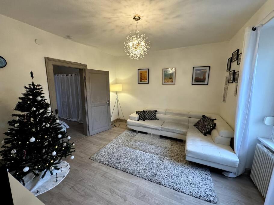 De 3 Pieces, Appartement Colmar