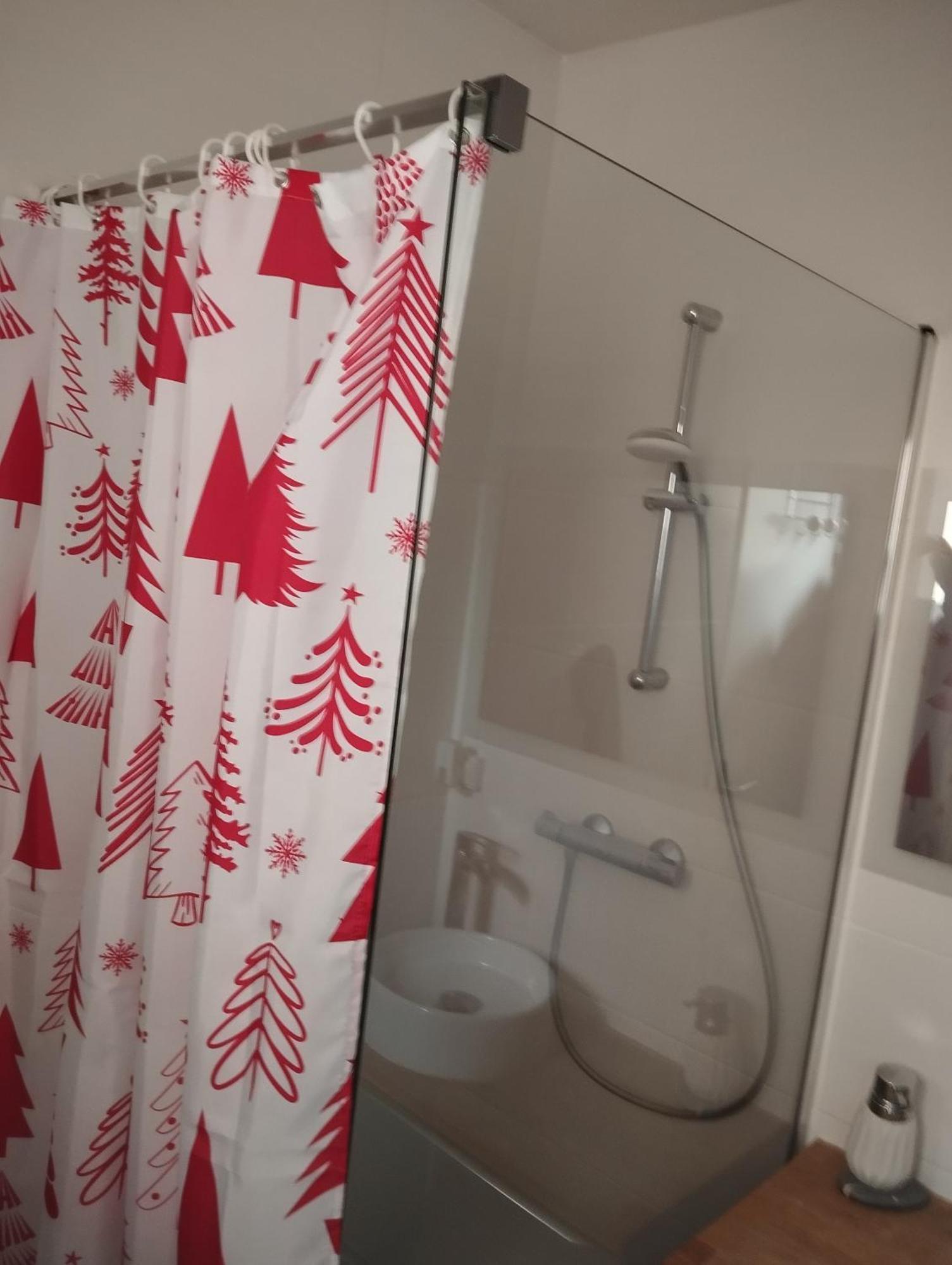 Appartement De 3 Pieces, Colmar